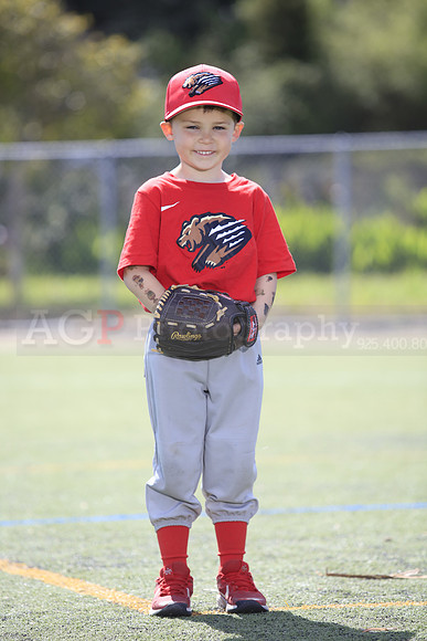 T-Ball_Grizzlies0063