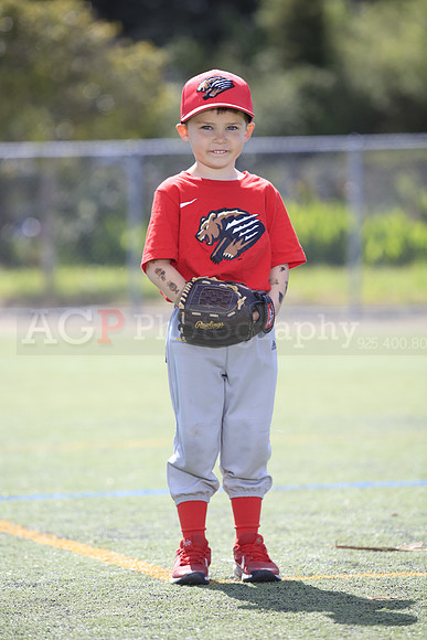 T-Ball_Grizzlies0064