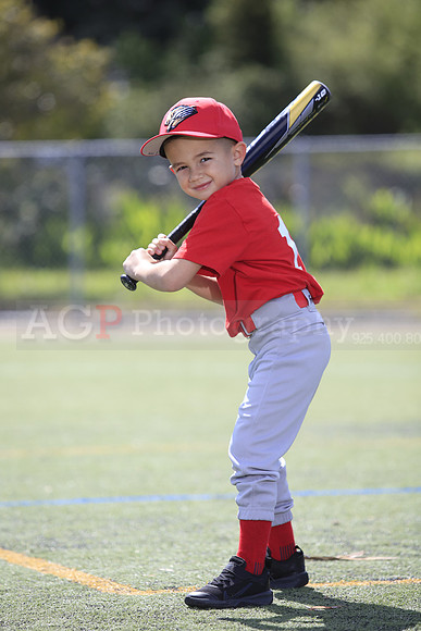 T-Ball_Grizzlies0060