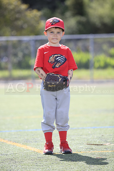 T-Ball_Grizzlies0065