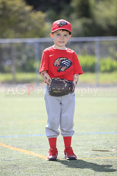 T-Ball_Grizzlies0067