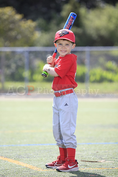 T-Ball_Grizzlies0068