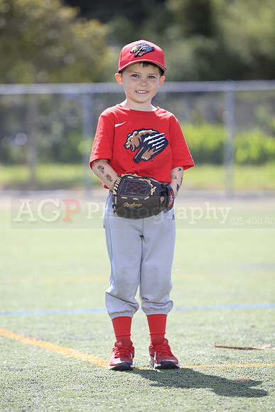 T-Ball_Grizzlies0066
