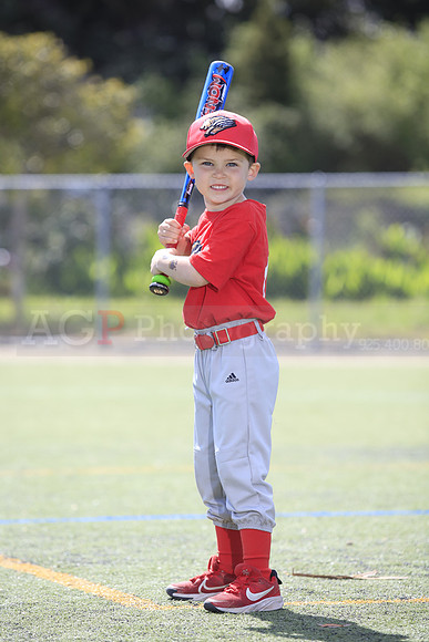 T-Ball_Grizzlies0069