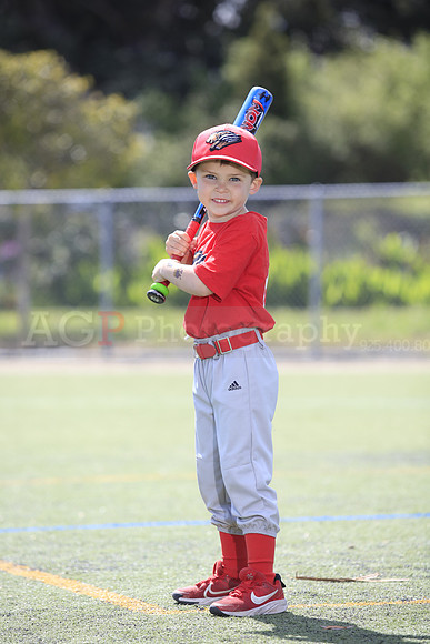 T-Ball_Grizzlies0070