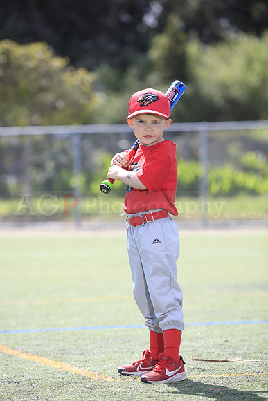 T-Ball_Grizzlies0072