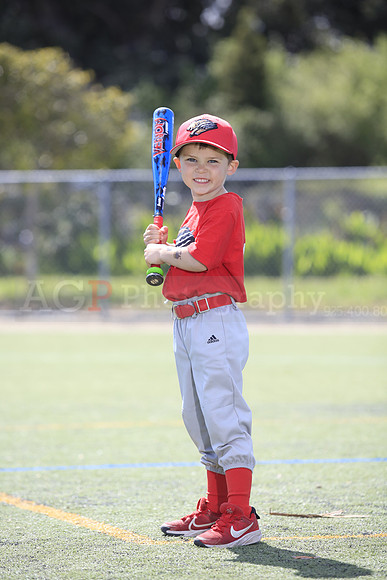 T-Ball_Grizzlies0071