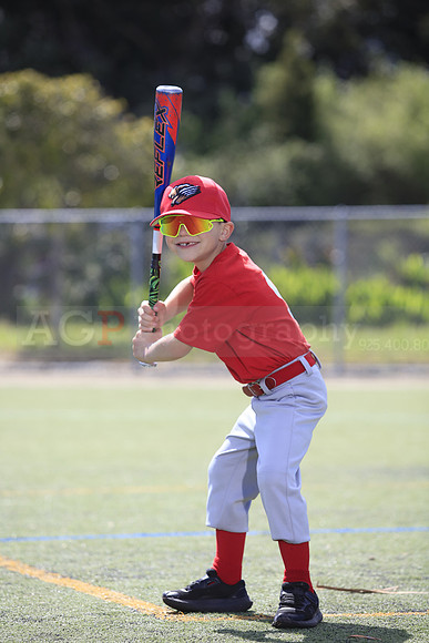 T-Ball_Grizzlies0041