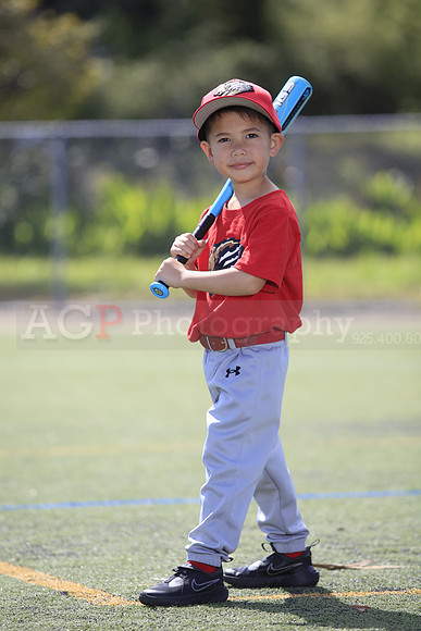 T-Ball_Grizzlies0016