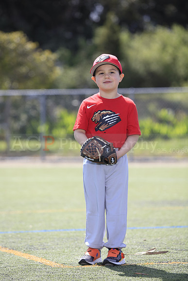 T-Ball_Grizzlies0044