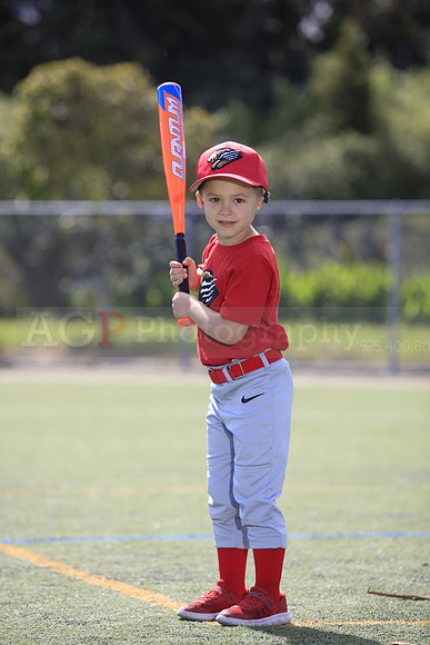 T-Ball_Grizzlies0027