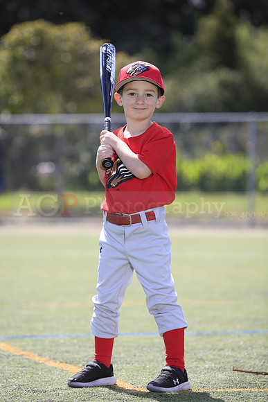 T-Ball_Grizzlies0022