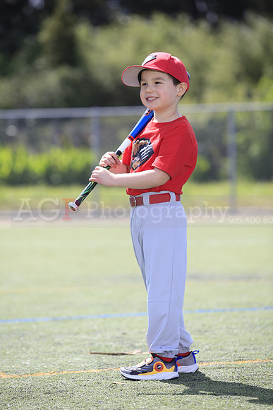 T-Ball_Grizzlies0049