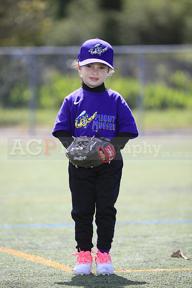 T-Ball_Mighty_Mussels0002