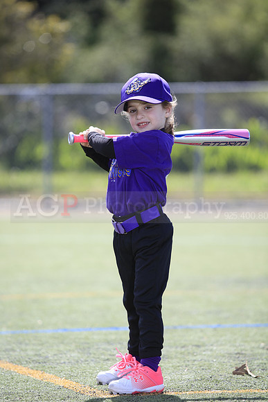 T-Ball_Mighty_Mussels0005
