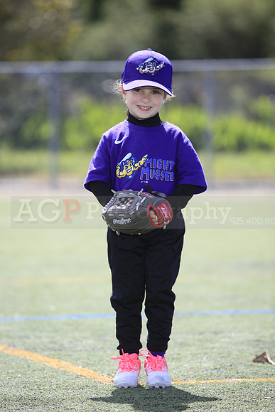 T-Ball_Mighty_Mussels0003