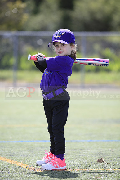 T-Ball_Mighty_Mussels0007
