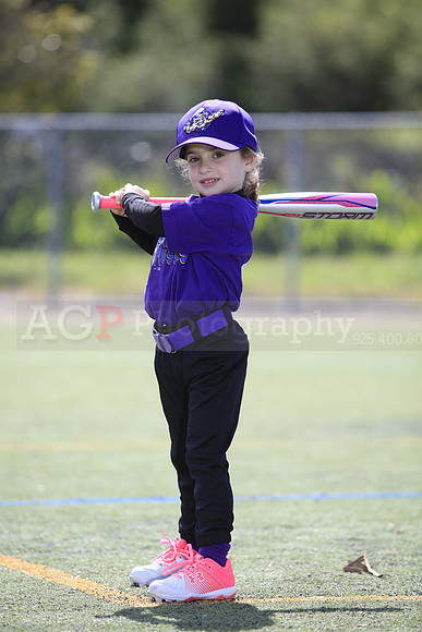 T-Ball_Mighty_Mussels0006