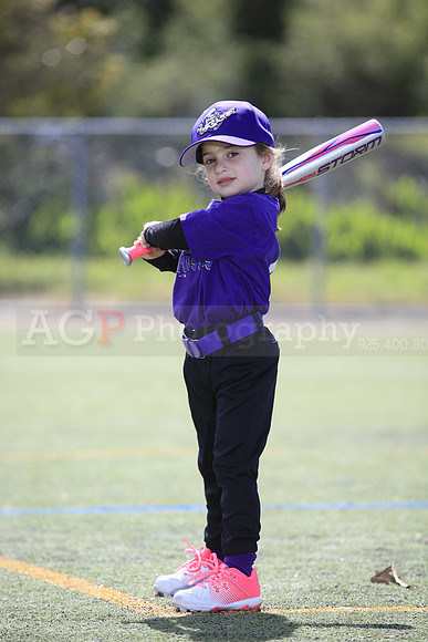 T-Ball_Mighty_Mussels0004