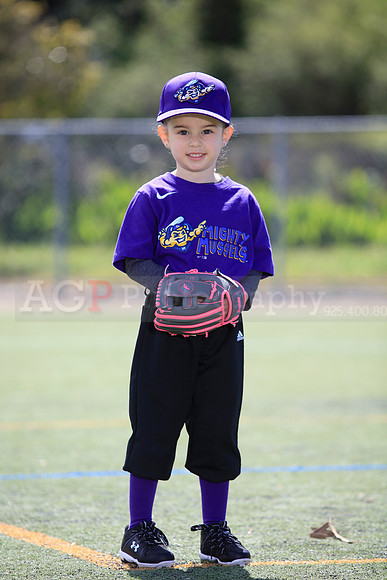 T-Ball_Mighty_Mussels0028