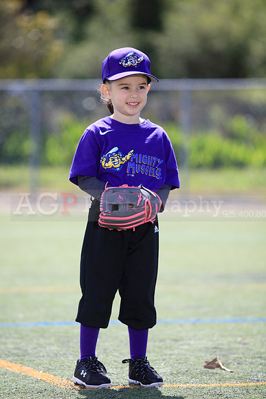 T-Ball_Mighty_Mussels0029