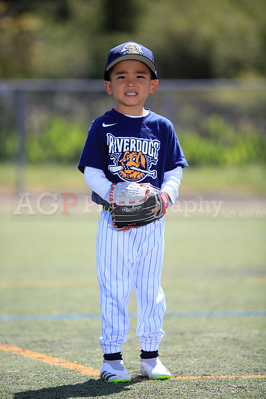 T-Ball_Riverdogs0032