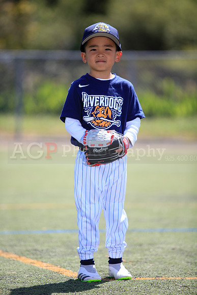 T-Ball_Riverdogs0033