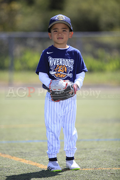 T-Ball_Riverdogs0034