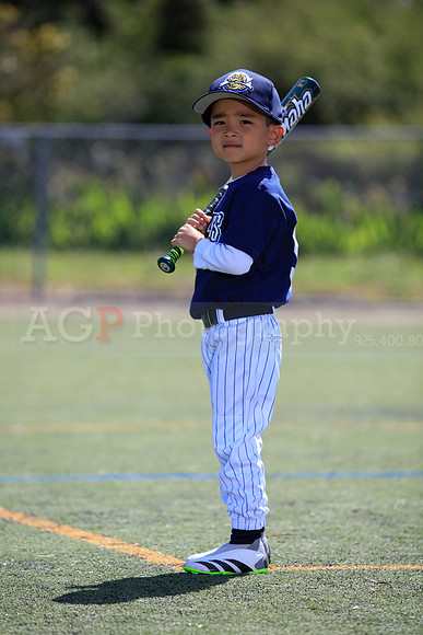 T-Ball_Riverdogs0036