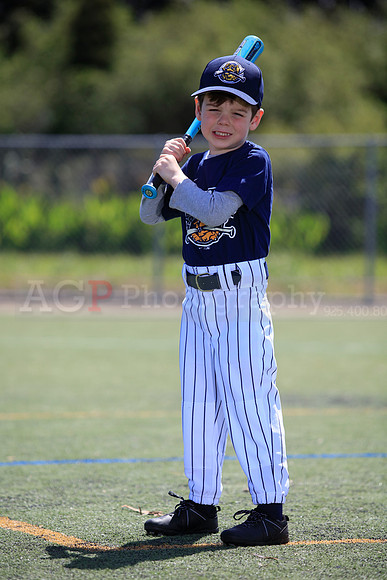 T-Ball_Riverdogs0047