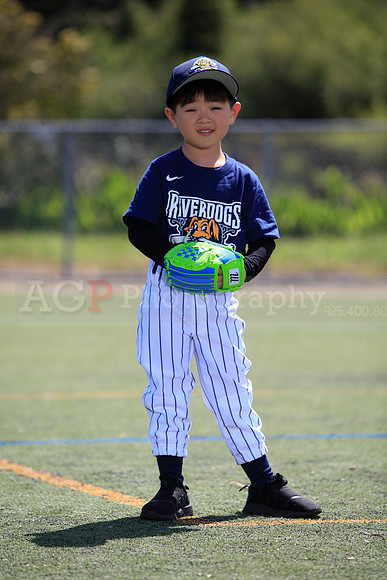 T-Ball_Riverdogs0049