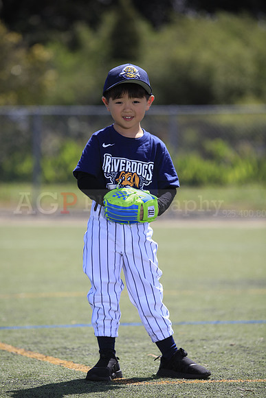 T-Ball_Riverdogs0050