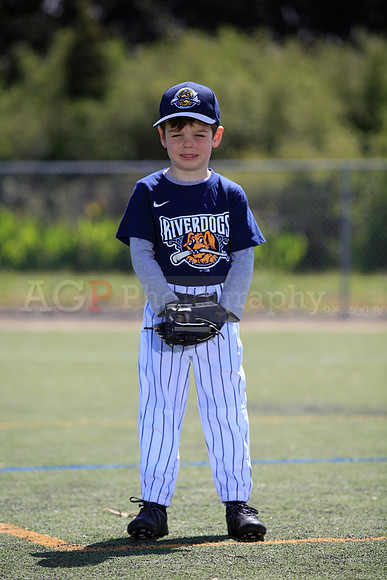 T-Ball_Riverdogs0045