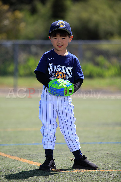 T-Ball_Riverdogs0051