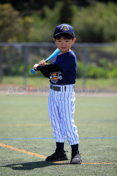 T-Ball_Riverdogs0052