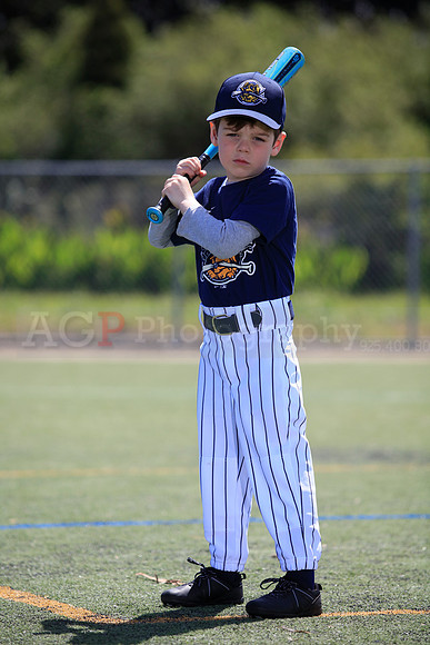 T-Ball_Riverdogs0046