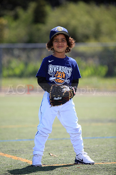T-Ball_Riverdogs0059