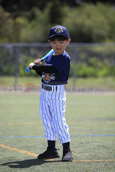 T-Ball_Riverdogs0054