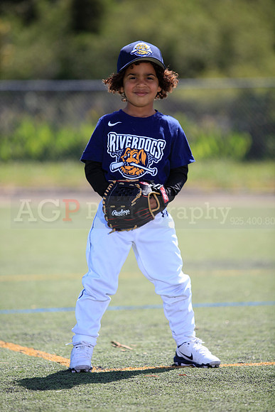 T-Ball_Riverdogs0061