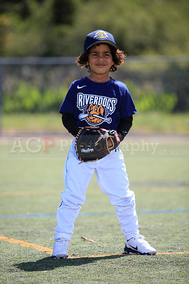 T-Ball_Riverdogs0062