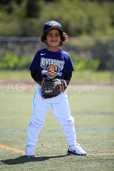 T-Ball_Riverdogs0060