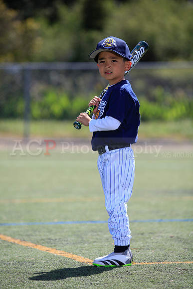 T-Ball_Riverdogs0035