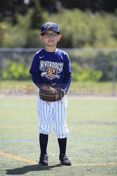 T-Ball_Riverdogs0003