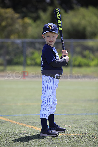T-Ball_Riverdogs0022