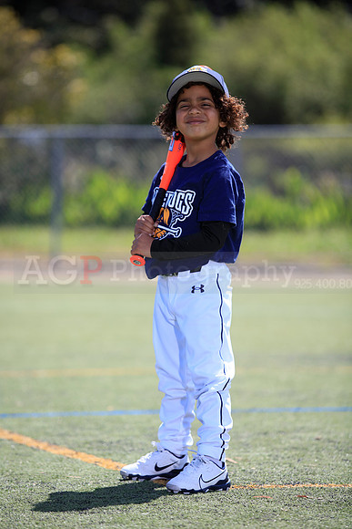 T-Ball_Riverdogs0067