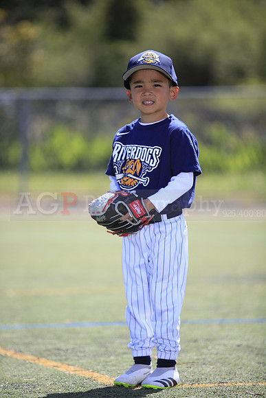 T-Ball_Riverdogs0031