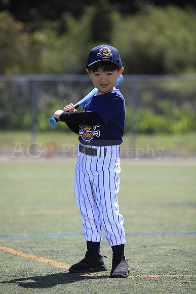 T-Ball_Riverdogs0053