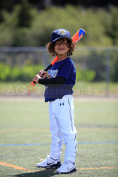 T-Ball_Riverdogs0030