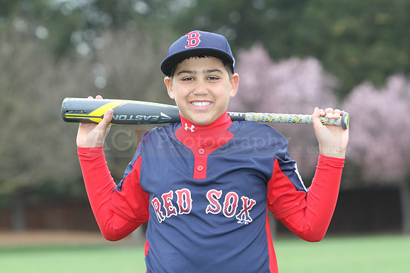 AAARedsox011