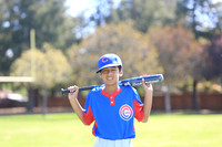 AAACubs017